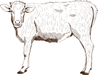 손으로 그린 소