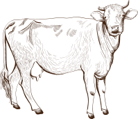 손으로 그린 소