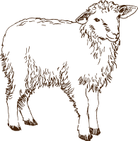 스케치 스타일의 가축 동물