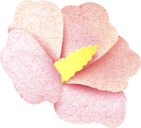 무궁화 일러스트