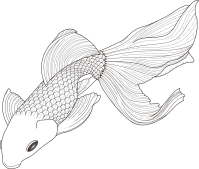 carp for coloring