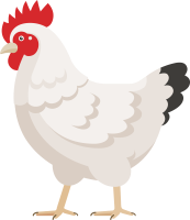 chicken_02