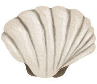 Nautical watercolor marine life hand painted