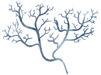 Nautical watercolor marine life hand painted