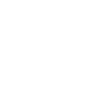 Cute white rabbits in various poses