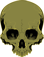 Skull vector illustration