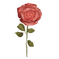 Red Roses Illustration Watercolor