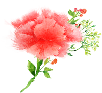 get_a10390696_st_sg_01