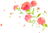 get_a9636910_st_sg_01