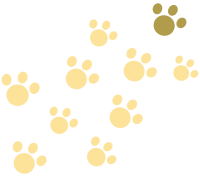 biz_160201_st_jh_118