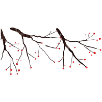 get_a10369469_st_hj_02