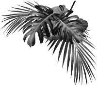 get_656456028_st_jh_04