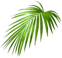 get_656455884_st_ey_02