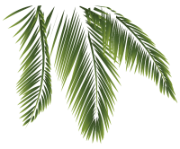 get_672842030_st_yj_04