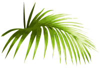 get_656455884_st_ey_01