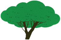 get_a10721706_st_dy_302