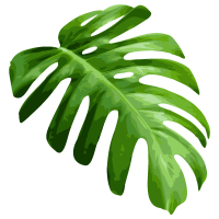 get_656455884_st_ey_03