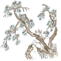 get_a8396008_1810108_st_hs_01