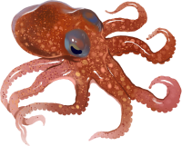 get_jv11172144_181030_st_hs_01