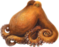 get_a7332663_181126_st_hs_01