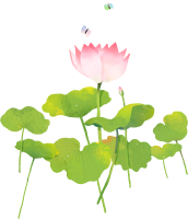 get_a10482628_st_ha_01