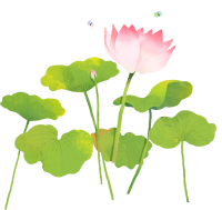 get_a10482627_st_ha_08