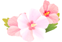 get_jv11341112_190513_st_ny_02