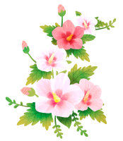 get_jv11341109_190513_st_ny_01