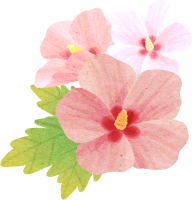 get_jv11341114_190514_st_hz_02