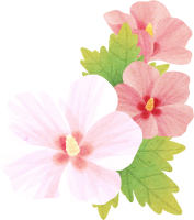 get_jv11341114_190514_st_hz_01