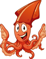 get_154368911_st_sy_33