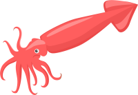 uto_20272879_st_sy_56