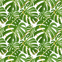 get_959079380_190611_st_ny_01