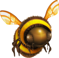 uto_20643983_190808_st_in_27