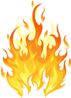 get_95755275_190920_st_sh_01