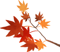 get_jv11931175_191014_st_in_59