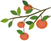 uto_20544334191024_st_mj_10