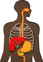 get_jv11938481_191106_st_sh_09