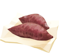 get_jv11326268_191111_dh_st_01