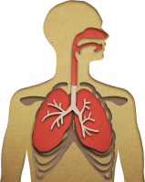 get_jv11938474_191106_st_sh_02