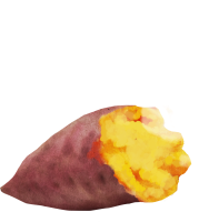 get_jv11326268_191111_dh_st_03