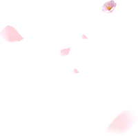 uto_21024618_191216_st_sa_04