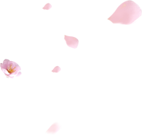 uto_21024618_191216_st_sa_01