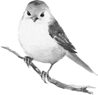 get_611088112_200129_st_ny_01