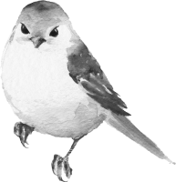 get_611088112_200129_st_ny_02