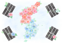 uto_21067865_200304_st_in_26