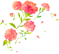 get_a9636910_200426_st_mj_01