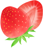 uto_21271821_200429_st_sh_01