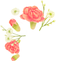 get_jv11350098_200426_st_mj_01