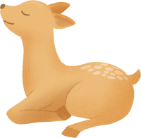 get_jv11995978_200512_st_sh_06